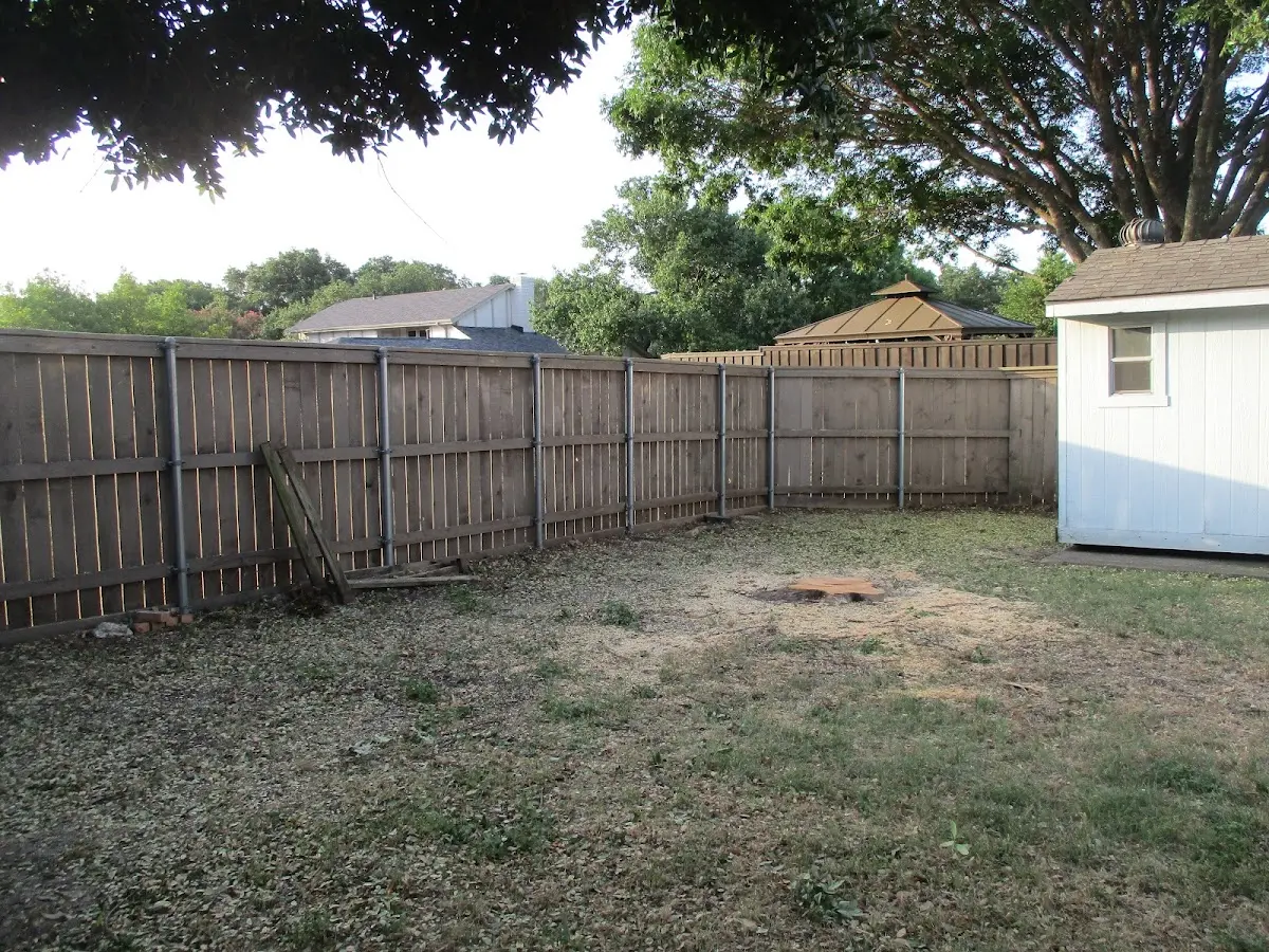 Cleared yard after professional tree removal in Cove City